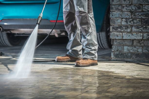 Best Pre-Holiday Cleaning  in Salem, SD