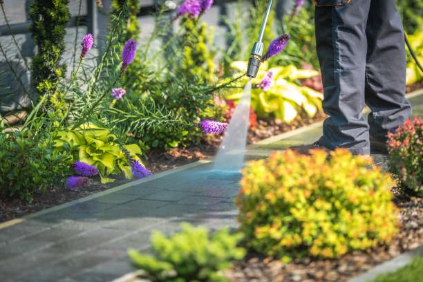 Best Gutter Cleaning  in Salem, SD